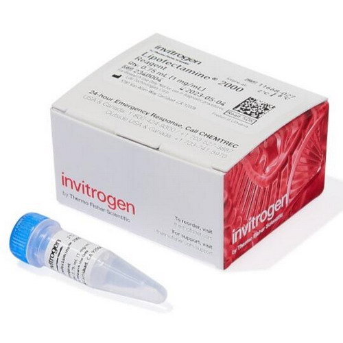 Life Invitrogen Lipofectamine 2000轉(zhuǎn)染試劑11668027