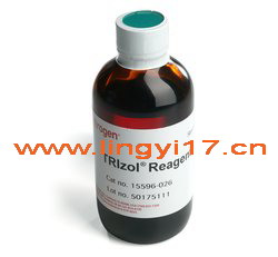 美國Life Invitrogen™TRIzol™ Reagent Reagent RNA提取試劑15596026CN