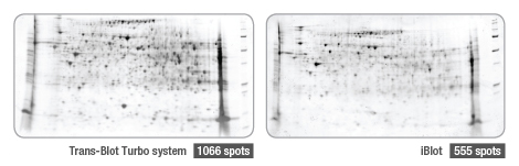 BIO-RAD Trans-Blot®Turbo美國(guó)伯樂全能型蛋白轉(zhuǎn)印系統(tǒng)1704150