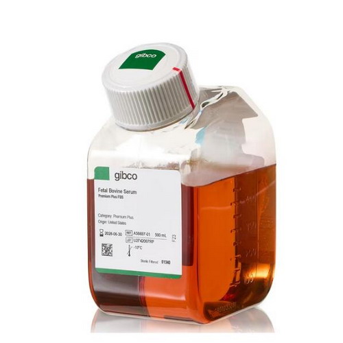 Gibco Fetal Bovine Serum, Premium Plus 500ml特優(yōu)級(jí)胎牛血清A5669701