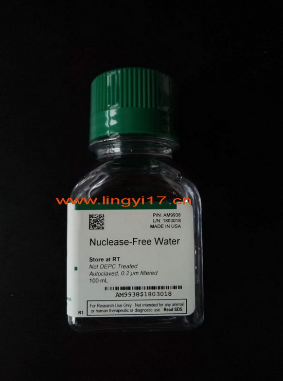 美國life Invitrogen Nuclease-Free Water (not DEPC-Treated) AM9938