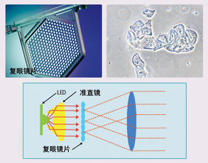 尼康E200生物顯微鏡