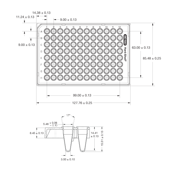 美國Bio-rad伯樂Hard-Shell® 96-Well PCR Plates96孔板HSL9605