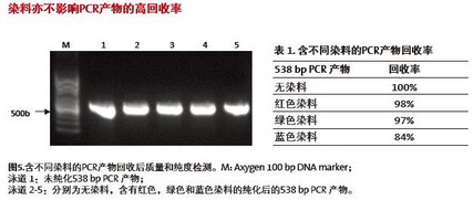 康寧愛思進磁力架IMAG-96-P-G