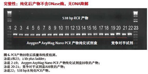 進口愛思進磁力架IMAG-96-P-G，AxyMag Nano PCR產(chǎn)物純化試劑盒