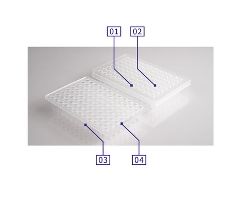 艾本德Lavibe進口PCR 96孔板0.2ml半裙邊2244030002，無裙邊2244030001