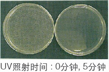 日本松下(原三洋)二氧化碳培養(yǎng)箱MCO-20AIC，容積：215L