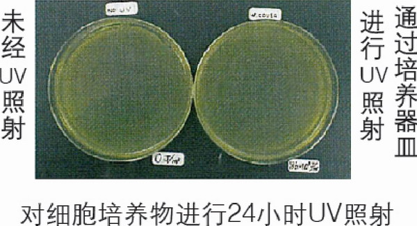 日本松下(原三洋)二氧化碳培養(yǎng)箱MCO-20AIC，容積：215L