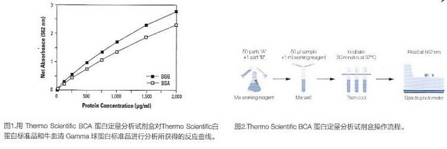 Thermo Scientific經(jīng)典暢銷-Pierce BCA蛋白定量試劑盒23225