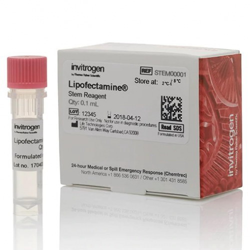 美國Thermo Invitrogen Lipofectamine干細胞轉(zhuǎn)染試劑STEM00001