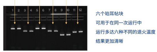 Thermo美國(guó)ABI Veriti 96梯度PCR儀