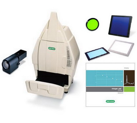 美國進(jìn)口BIO-RAD伯樂Gel Doc XR+凝膠成像系統(tǒng)