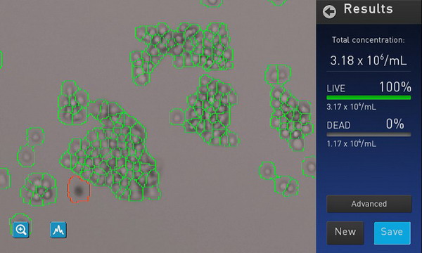 美國Invitrogen Countess II Automated Cell Counter自動化細胞計數(shù)儀AMQAX1000