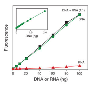 美國Life Invitrogen Qubit® 3.0熒光定量儀Q33216，Q33217，Q33218