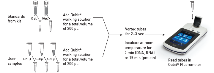 美國Life Invitrogen Qubit®4.0熒光定量儀Q33216，Q33217