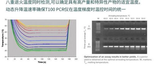 美國(guó)Bio-rad伯樂(lè)T100 PCR儀，進(jìn)口梯度pcr